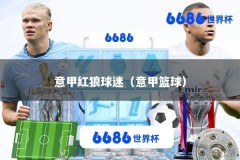 意甲红狼球迷（意甲篮球）