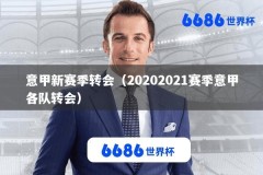 意甲新赛季转会（20202021赛季意甲各队转会）