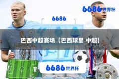 巴西中超赛场（巴西球星 中超）