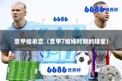 意甲姐弟恋（意甲7姐妹时期的球星）