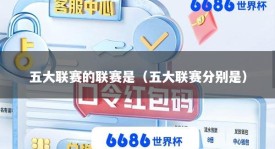五大联赛的联赛是（五大联赛分别是）