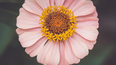 中国帆船帆板运动协会第十届会员代表大会第三次会议在青岛召开