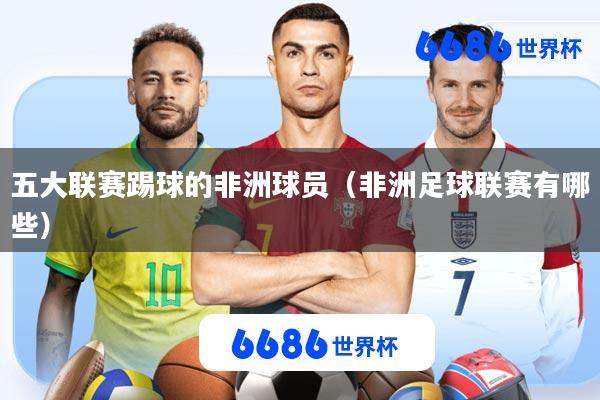 五大联赛踢球的非洲球员(非洲足球联赛有哪些)